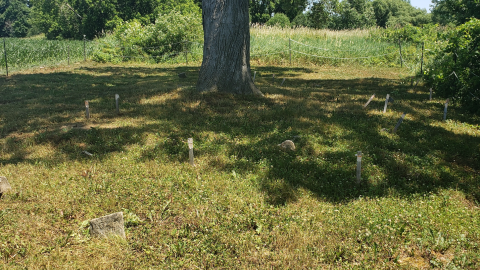 Smith/Cross Cemetery - July 4 2020 - 7.png