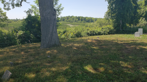 Smith/Cross Cemetery - July 4 2020 - 9.png