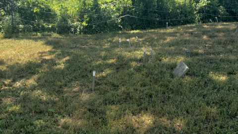 Smith/Cross Cemetery - July 4 2020 - 12.png