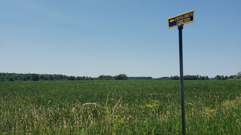 Smith/Cross Cemetery - July 4 2020 - 16.png