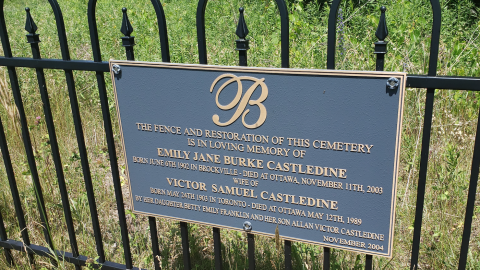 Photo from Burk's Cemetery - July 4 2020