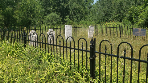 Photo from Burk's Cemetery - July 4 2020