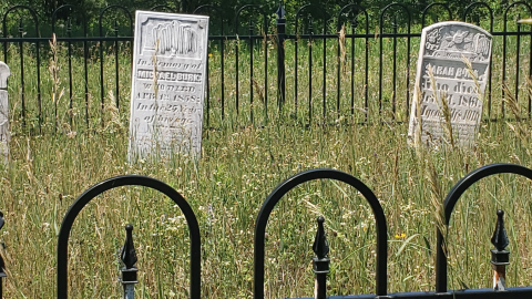 Burk's Cemetery - July 4 2020 - 8.png