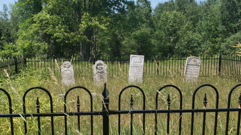 Burk's Cemetery - July 4 2020 - 11.png