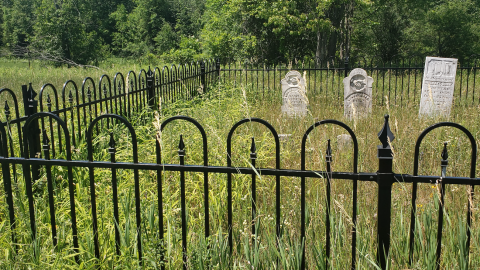 Burk's Cemetery - July 4 2020 - 12.png