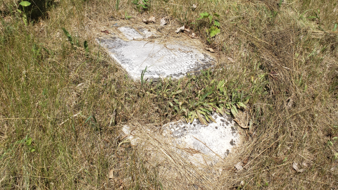 Edmunds/Willoughby Cemetery - July 4 2020 - 1.png