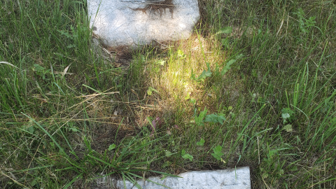 Edmunds/Willoughby Cemetery photo 5