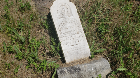 Edmunds/Willoughby Cemetery photo 4