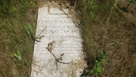 Edmunds/Willoughby Cemetery - July 4 2020 - 6.png