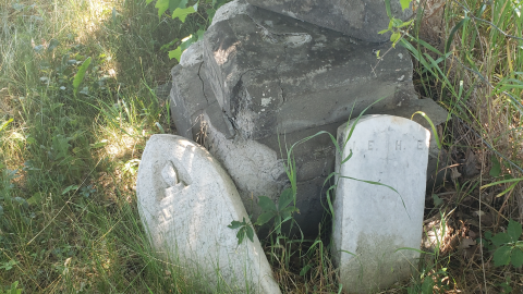 Edmunds/Willoughby Cemetery photo 2