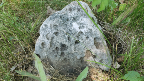 Edmunds/Willoughby Cemetery - July 4 2020 - 10.png