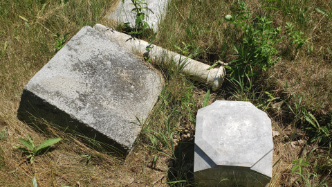 Edmunds/Willoughby Cemetery - July 4 2020 - 11.png