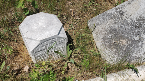 Edmunds/Willoughby Cemetery photo 3