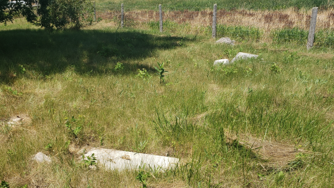 Edmunds/Willoughby Cemetery - July 4 2020 - 14.png