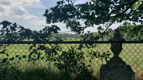 Photo from Blanchard Cemetery - July 26 2020