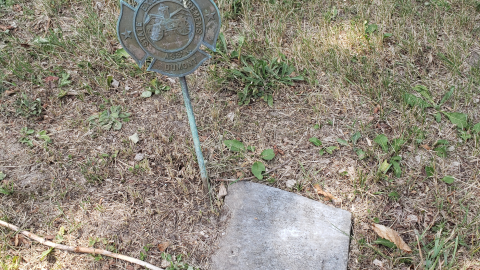 Photo from Blanchard Cemetery - July 26 2020