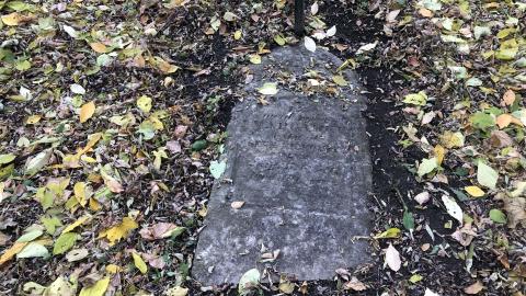 Wilson's Hill Pioneer Cemetery - Wilson Cemetery (5)-min.JPG