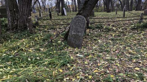 Wilson's Hill Pioneer Cemetery - Wilson Cemetery (6)-min.JPG