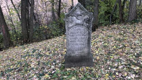 Wilson's Hill Pioneer Cemetery - Wilson Cemetery (8)-min.JPG