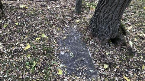 Wilson's Hill Pioneer Cemetery - Wilson Cemetery (17)-min.JPG