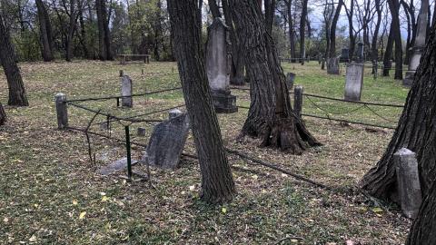 Wilson's Hill Pioneer Cemetery - Wilson Cemetery (19)-min.JPG