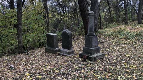 Wilson's Hill Pioneer Cemetery - Wilson Cemetery (21)-min.JPG