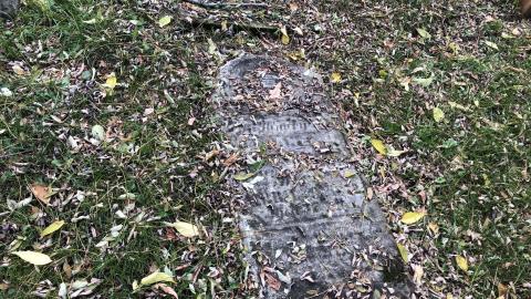 Wilson's Hill Pioneer Cemetery - Wilson Cemetery (22)-min.JPG