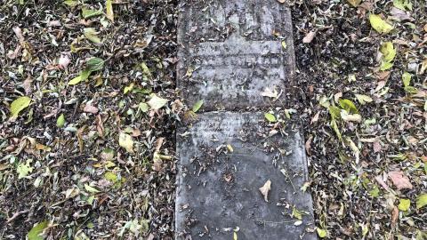 Wilson's Hill Pioneer Cemetery - Wilson Cemetery (24)-min.JPG