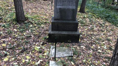 Wilson's Hill Pioneer Cemetery - Wilson Cemetery (25)-min.JPG