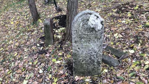 Wilson's Hill Pioneer Cemetery - Wilson Cemetery (26)-min.JPG
