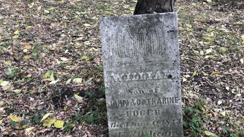 Wilson's Hill Pioneer Cemetery - Wilson Cemetery (27)-min.JPG