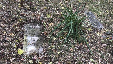 Wilson's Hill Pioneer Cemetery - Wilson Cemetery (28)-min.JPG