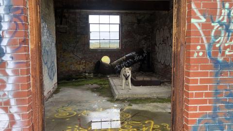 Burwash Prison - Burwash Prison (16)-min.JPG