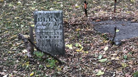 Wilson's Hill Pioneer Cemetery - Wilson Cemetery (29)-min.JPG