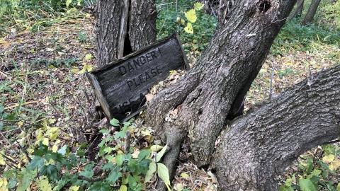 Wilson's Hill Pioneer Cemetery - Wilson Cemetery (31)-min.JPG