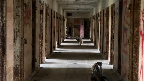 Burwash Prison - Burwash Prison (21)-min.JPG