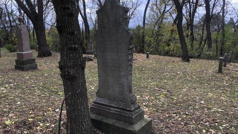 Wilson's Hill Pioneer Cemetery - Wilson Cemetery (32)-min.JPG