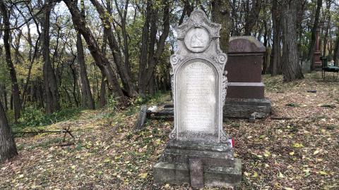 Wilson's Hill Pioneer Cemetery - Wilson Cemetery (33)-min.JPG