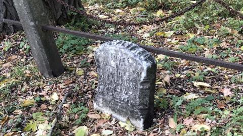 Wilson's Hill Pioneer Cemetery - Wilson Cemetery (36)-min.JPG