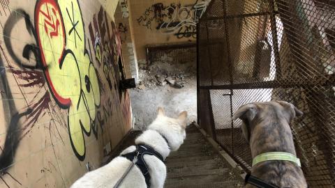 Burwash Prison - Burwash Prison (34)-min.JPG