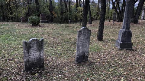 Wilson's Hill Pioneer Cemetery - Wilson Cemetery (47)-min.JPG