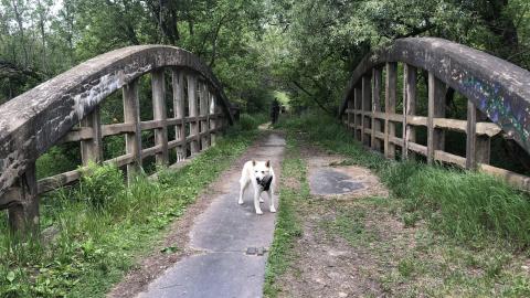 HVHT Bridge and old farm. - IMG_7797-min.JPG