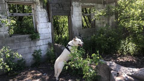 Photo from HVHT Bridge and old farm.