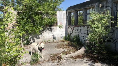 HVHT Bridge and old farm. - IMG_7808-min.JPG
