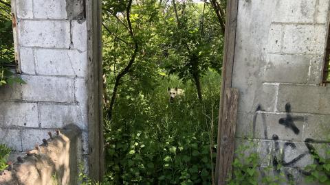 Photo from HVHT Bridge and old farm.