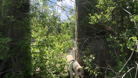 Photo from HVHT Bridge and old farm.