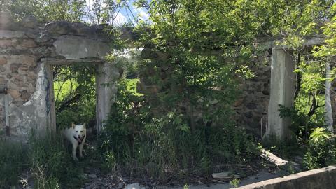 HVHT Bridge and old farm. - IMG_7813-min.JPG