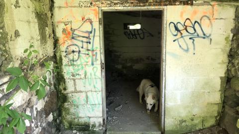 HVHT Bridge and old farm. - IMG_7814-min.JPG