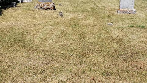 Photo from Foxton/Glazier Cemetery - June 19 2020