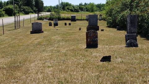 Photo from Foxton/Glazier Cemetery - June 19 2020